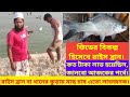 ফিডের বিকল্প হিসেবে রাইস ব্রান,কত টাকা লাভ হয়েছিল জানাবো আজকের পর্বে। #মাছ_চাষ #Ashraf_Agro_BD