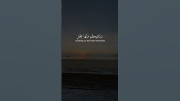 #القرآن_الكريم #سورة_النمل #الشيخ_ياسر_الدوسري #اكسبلور #fypforyou #fypyoutube #fypシ゚viral #fyp