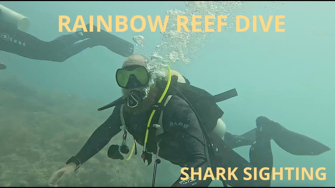 Diving Key West’s Rainbow Reef | Shark Sighting & Hidden Arches!