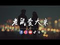 Yin Yue De Ru Men Dao Gai Hang 音樂的入門到改行 Lao Shu Ai Da Mi 老鼠愛大米