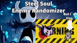 Lil Radiance Enemy Rando - Hollow Knight