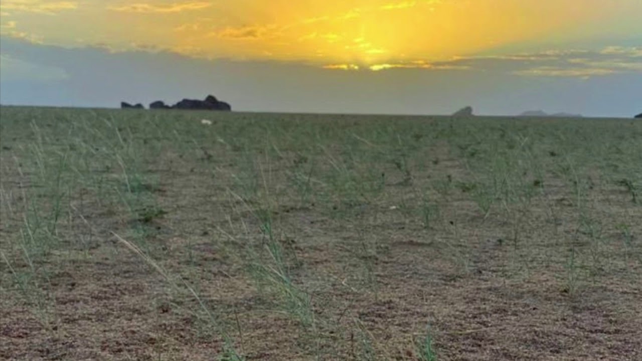 قصة  سويكت المساعرة فالح مسلم الدوسري ابو شايع