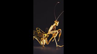 Watch How We Create a Stunning Mantis Sculpture Out of Pure Gold #Shorts