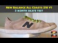 New Balance All Coasts 210 V1 - 3 month skate test Review!