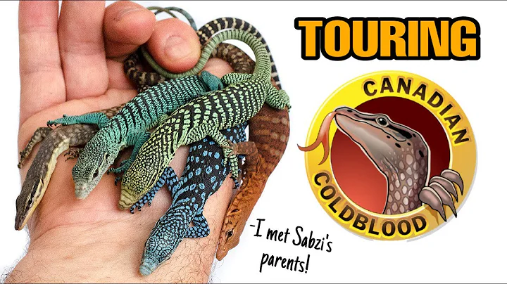 INCREDIBLE REPTILE FACILITY TOUR | CANADIAN COLDBL...