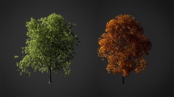 How to Create a Realistic Tree in Blender 3D - Part 1