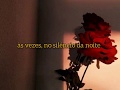 Caetano Veloso - Sozinho (letra/legendado)