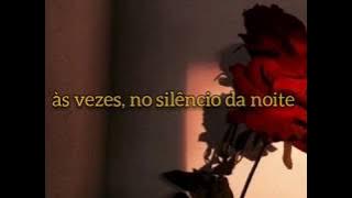 Caetano Veloso - Sozinho (letra/legendado)