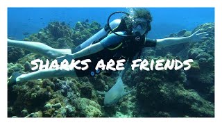 Best diving in Puerto Rico//Diving Desecheo Island