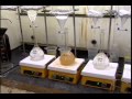 Hazardous Waste Overview - YouTube