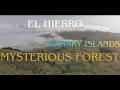 THE MYSTERY OF THE ENCHANTED FOREST: We found an entrance to another dimension on El Hierro