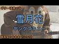 （ギターのみ）雪月花／ヤングスキニー／ギター弾き語り練習用動画（コード／ストローク／歌詞）