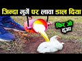 मुर्गे को मशीन में डाल दिया इस फिर हहुआ Craziest Experiments On Youtube ( Part -2 )