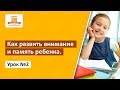 Как развить внимание и память ребенка?  Урок 2 | Тренируем восприятие