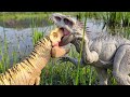 T-Rex Fighting Indominus Rex In Dino Trackers Jurassic World Dinosaur Battle Real!