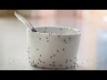 7 Natural Ways to Manage Ants in the House