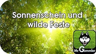 Miniatura del video "Sonnenschein und wilde Feste (Instrumental)"