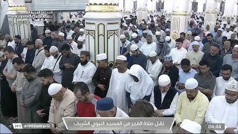 صلاة الفجر للشيخ محمد برهجي من المسجد النبوي 2 ذو القعدة 1446 من سورة التوبة