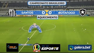 Santos x Botafogo: onde assistir ao vivo, horário e escalações do jogo de  hoje pelo Brasileirão - Lance!