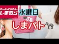 【しまむら購入品】水曜日のしまパト🦓 / 700円バッグ /プチプラのあや /値引き商品