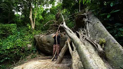 Build a secret bushcraft shelter deep inside the trunk of a fallen tree in the forest over 7 days