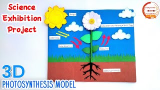 How To Make 3D Photosynthesis Model/Science Project |Science Exhibition Project/PHOTOSYNTHESIS MODEL