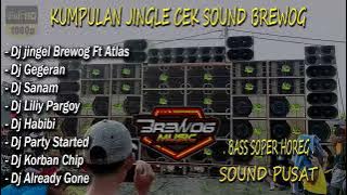 DJ BREWOG MUSIK FULL ALBUM TERBARU 2023 - BREWOG AUDIO BASS JEDUG HOREG - DJ ANDALAN BREWOG
