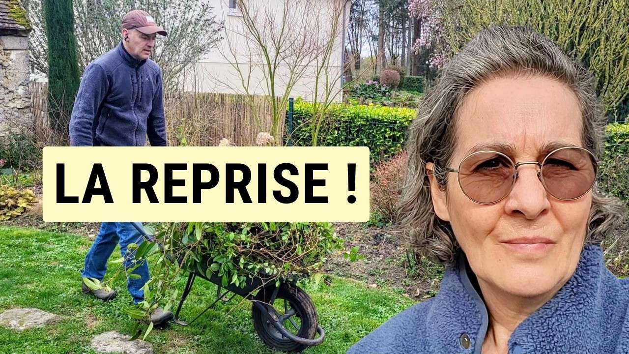 Taille des grimpantes, nettoyage des vivaces et Fête des Lanternes