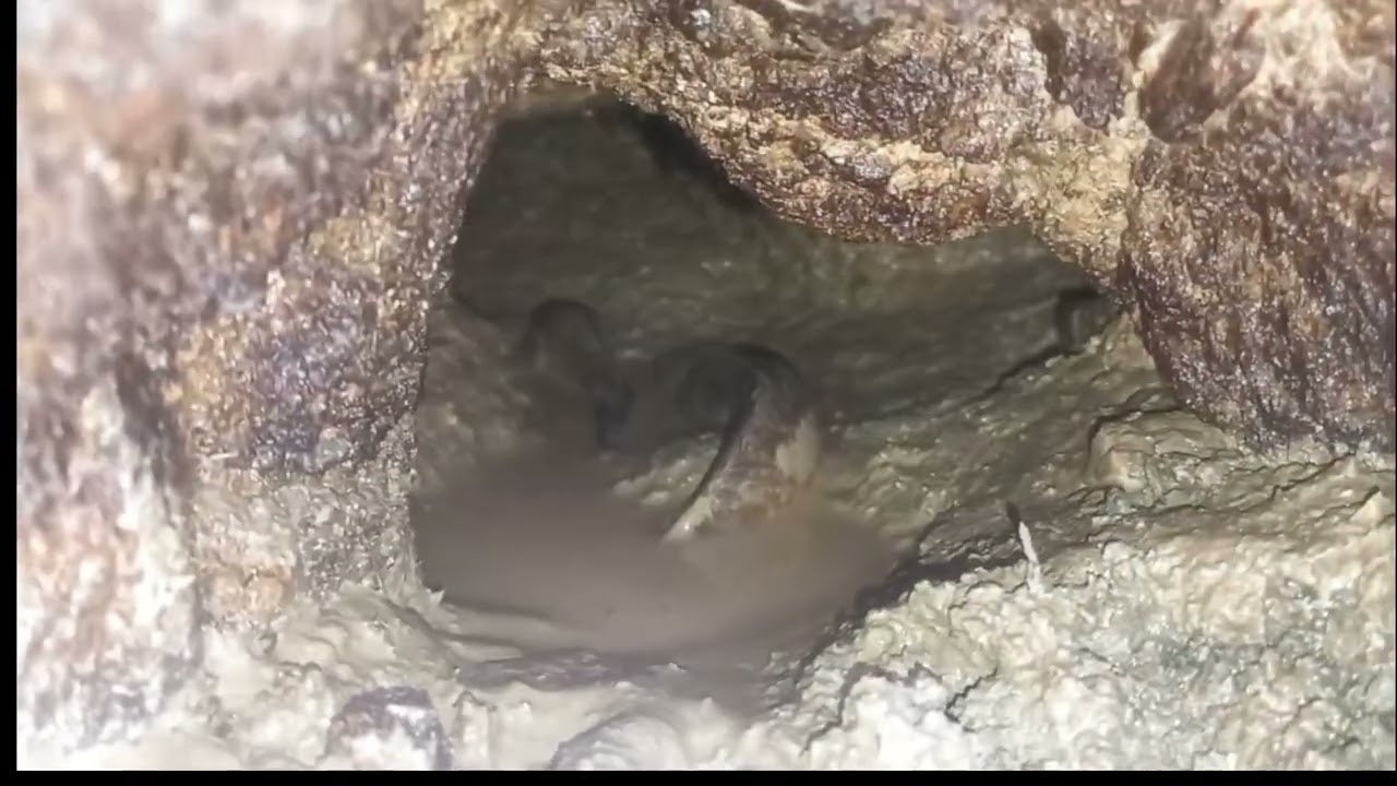 এটা আবার কি😮😮😮#viral #minivlog #vlog #comedy #fising #viral_video #aakhirkyutootichhorebarghatiteam 