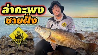 ล่าปลากะพง ชายฝั่ง Baramundi Fishing [ LFST ตีเหยื่อปลอมชายฝั่ง 67]