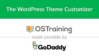 WordPress Beginner Tutorial #25: The WordPress Theme Customizer
