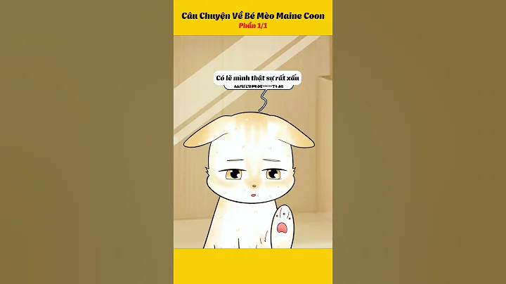 Video 10967971: maine coon cat animals, maine coon cat funny