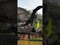 #Short se'ekor naga menyerang pedesaan #monsterlaut #monster
