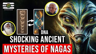 SHOCKING! Mysteries of Nagas &amp; Their Role in Ancient Human Civilizations