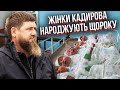 У Кадирова БІЛЬШЕ, НІЖ 14 ДІТЕЙ! Абдурахманов: вони захоплять владу – готують спеціальні крісла