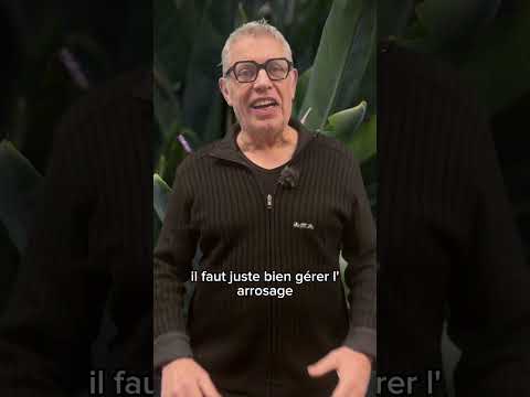 Vidéo YouTube