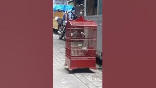 CENDET PASTOL ISIAN GEREJA BR SOGON