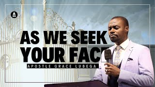 As We Seek Your Face | Worship-P468 2024 |  Apostle Grace Lubega| phaneroo
