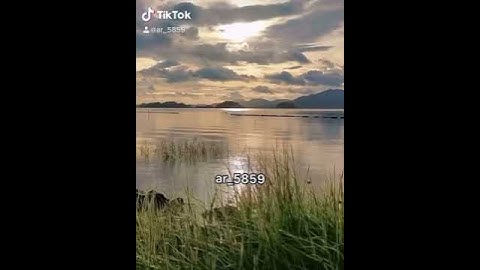 قران كريم |ارح سمعك|اغث قلبك |حالات واتس اب |مقاطع انستا