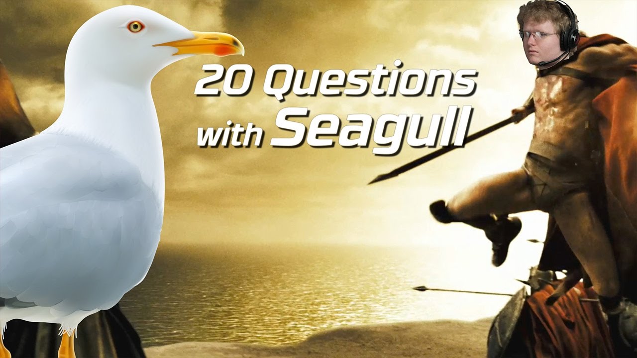 NRG Seagull 20 Questions
