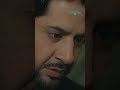 #ghulambashahsundri #shorts #hinaafridi #imranashraf #zaviyarnaumaan #action #greenshorts