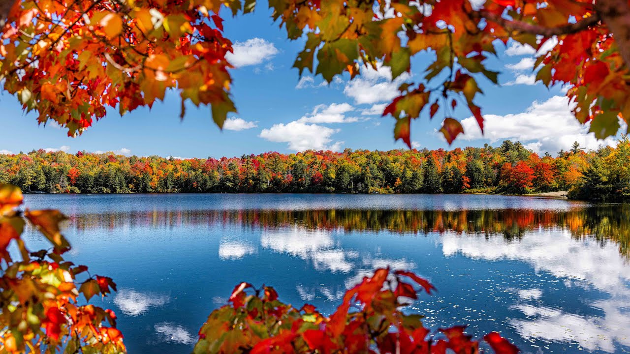 Autumn Landscape Featuring Colorful Trees Reflecting in a Lake in