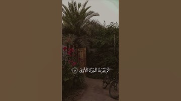 وان ليس للإنسان الا ما سعى - ياسر الدوسري #تلاوات_خاشعة #القران #ياسر_الدوسري #quran
