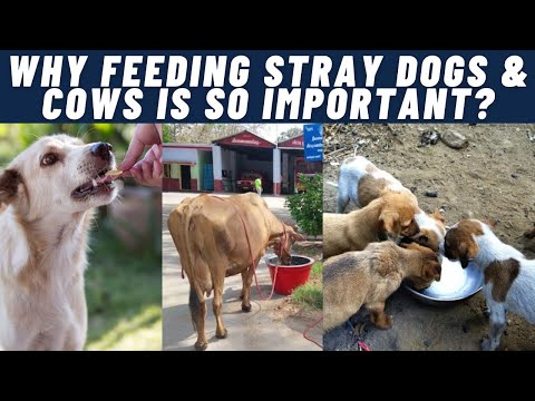 Why feeding &