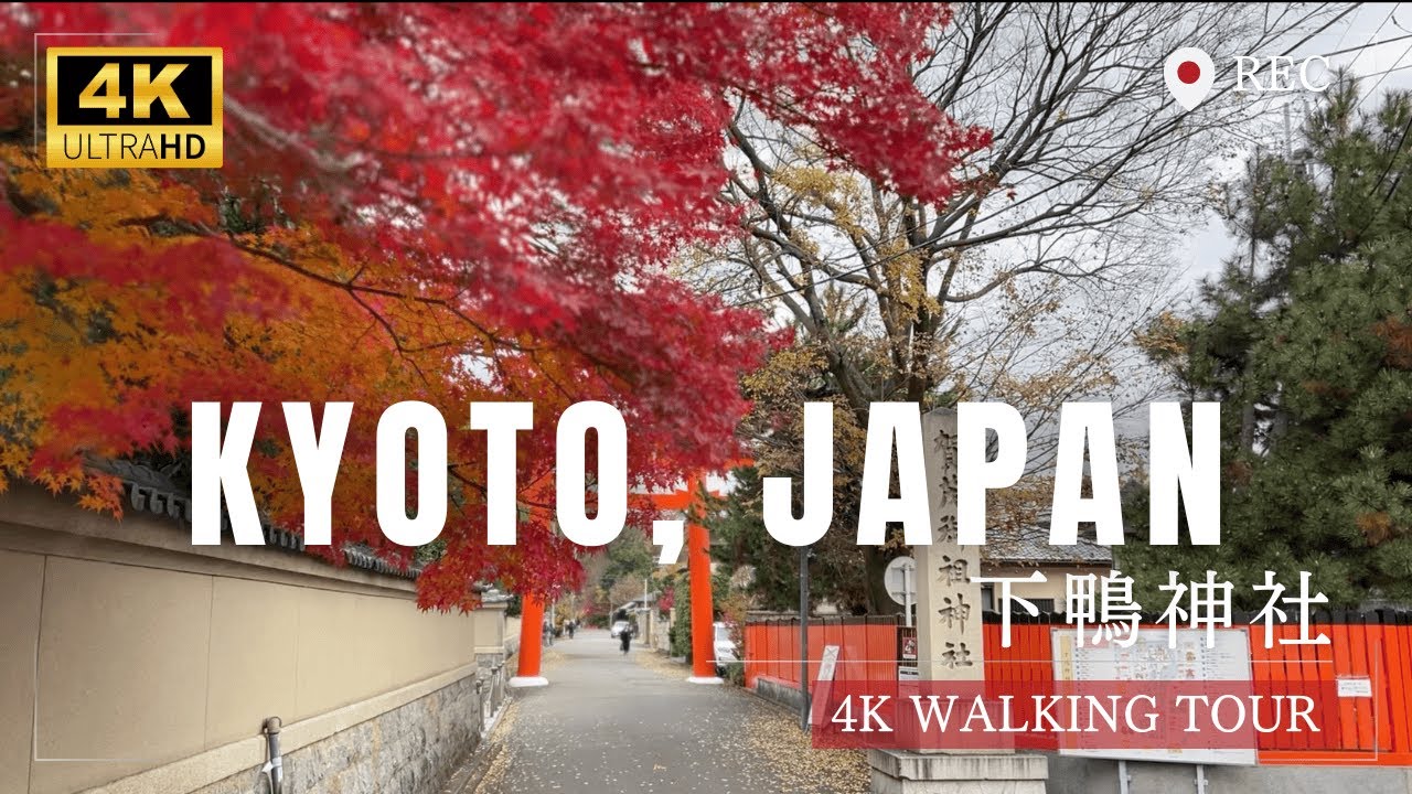 【4K】Autumn Walk from Demachiyanagi to Shimogamo Shrine | Kyoto Fall Vlog