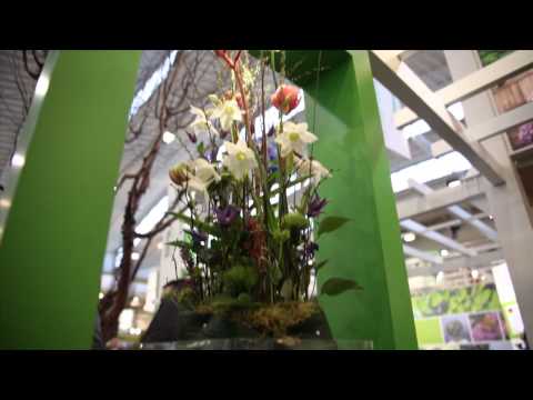 IPM ESSEN - Weltleitmesse des Gartenbaus