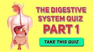 Digestive System Quiz- Part 1- ( Functions & Organs ) - Human Anatomy