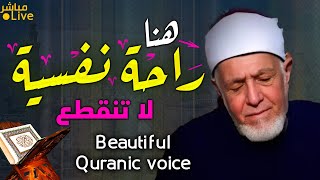 أروع ما قد تسمعه أذناك ! 😭 صوت رنان مخلوط بشجن عجيب 👌 الشيخ أبو عامر |  Wonderful Quranic voice