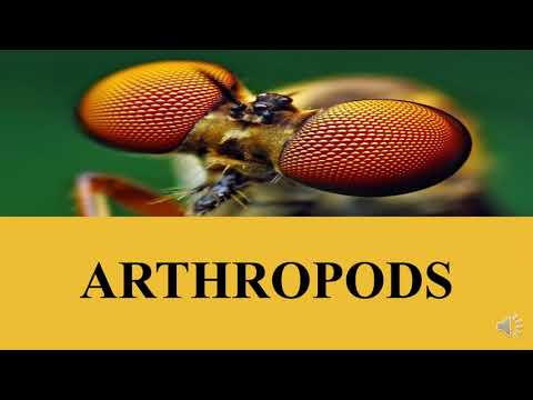 Introduction of Entomology