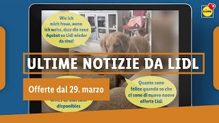 Le Nuove Offerte Sono Arrivate 21 Marzo 24 Lidl Svizzera